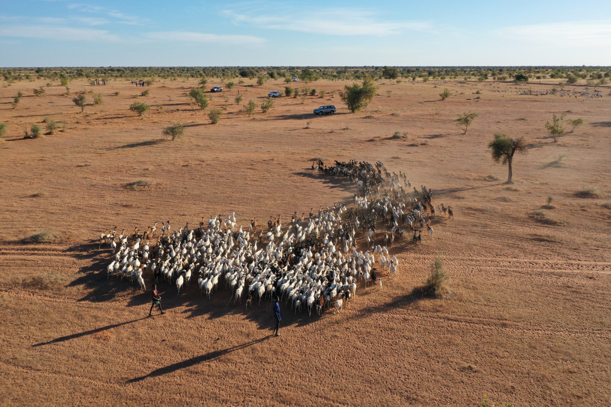 Sustain Sahel - Minerva